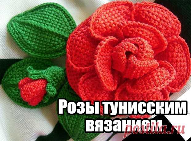 ​Розы тунисским вязанием — DIYIdeas