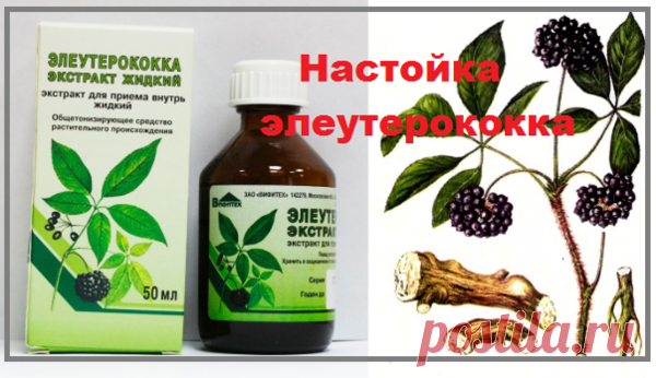 Копеечный аптечный препарат заменит более 10 аналогов лекарств | моя записная книжка | Яндекс Дзен