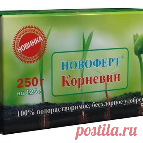 Корневин, инструкция по применению корневина