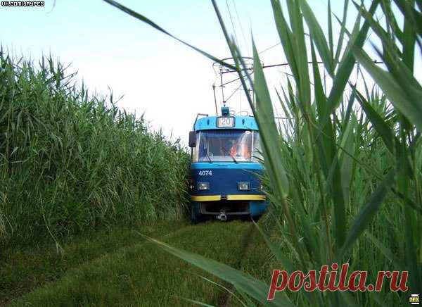 Прикольные и просто красивые картинки 30.05.2019 - ЯПлакалъ