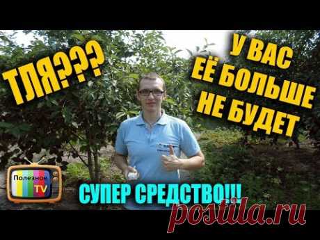 ТЛЯ У ВАС ЕЁ БОЛЬШЕ НЕ БУДЕТ СУПЕР СРЕДСТВО