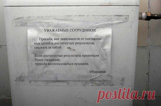 случай когда реформа в действии, (в офисе работает филолог за 60)