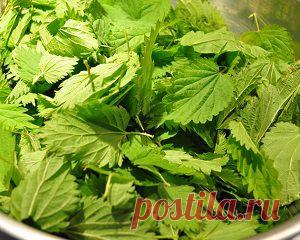 Лечение сухих волос в домашних условиях
5 рецептов