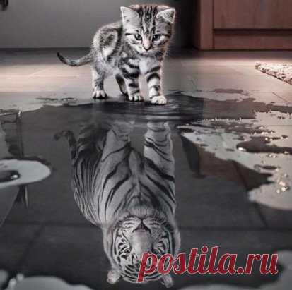 Как многое зависит от веры в себя...