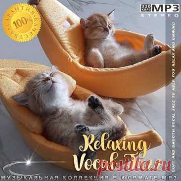 Relaxing Vocal Jazz (Mp3) Исполнитель: Various ArtistНазвание: Relaxing Vocal JazzЖанр музыки: Relax, Jazz, Relaxing Vocal, Vocal Jazz, InstrumentalДата релиза: 2023Количество композиций: 91Формат | Качество: MP3 | 320 kbpsПродолжительность: 06:47:54Размер: 959 MB (+3%) TrackList:01. Katrine Madsen - From a Mother to a