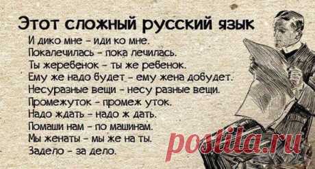 (20) Твиттер