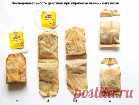 Пакетики от чая для выращивания рассады