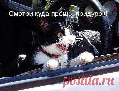 Фотоальбом «Лента новостей»