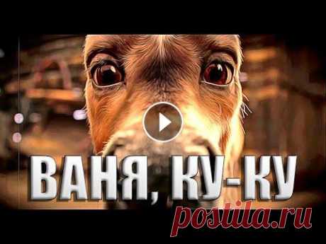 ⚡ Конёк-Горбунок // ЛУЧШЕЕ ⚡ ⚡ Зарабатывай во Время Всемирного Кризиса - Компания &quot;Авалон&quot;: Подборка Лучших Моментов и Фразочек из фильма &quot;Конёк-Горбунок&quot; (202...