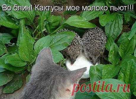 Мой Мир@Mail.Ru