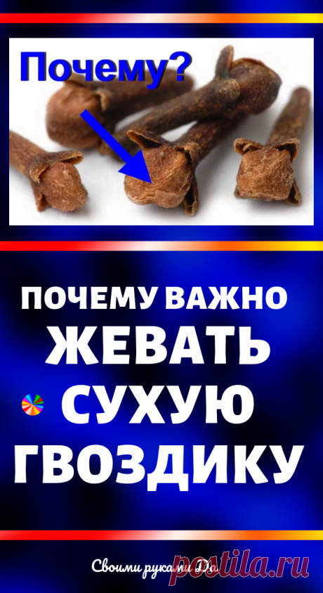 Зачем нужно жевать сушеную гвоздику