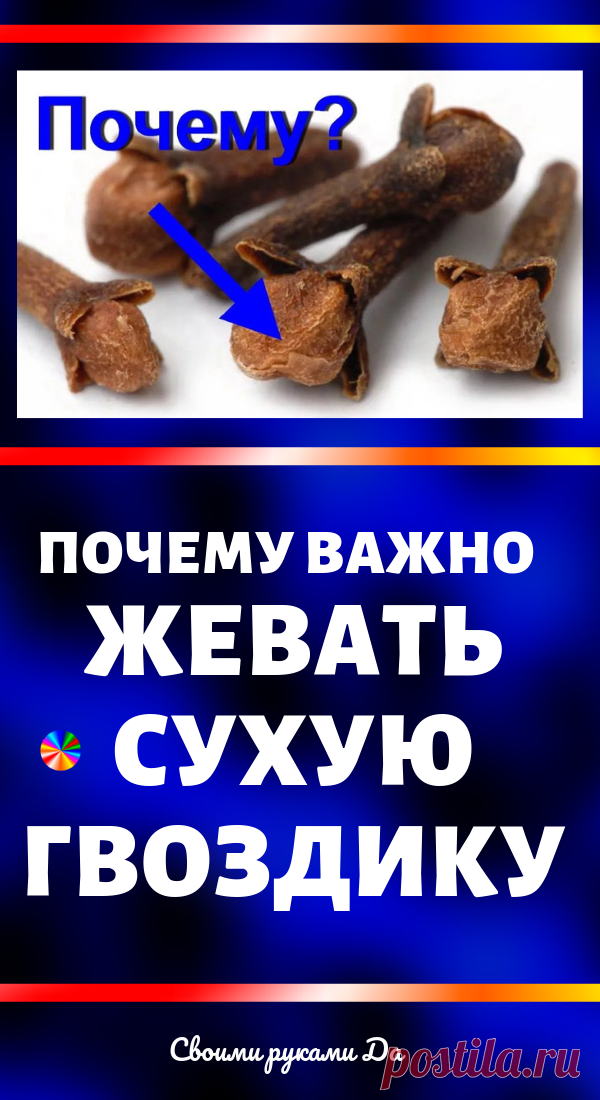 Зачем нужно жевать сушеную гвоздику