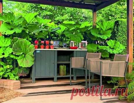 Место для отдыха в саду: варианты и рекомендации по оформлению