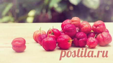 АЦЕРОЛА - свойства и применение Ацерола — чрезвычайно ценный, натуральный источник витамина С. Всего один маленький плод этого растения содержит столько же аскорбиновой кислоты, сколько килограмм лимонов! Так от чего же помогает…