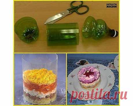 Группа: Хитрости жизни