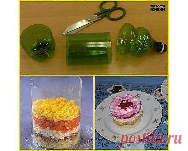 Группа: Хитрости жизни