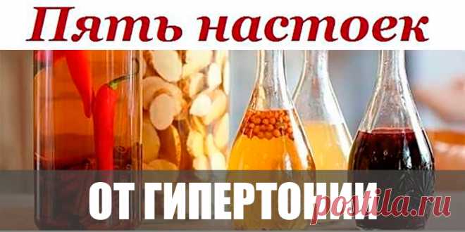 ПЯТЬ НАСТОЕК — НАРОДНЫЕ СРЕДСТВА ОТ ГИПЕРТОНИИ | Полезные советы