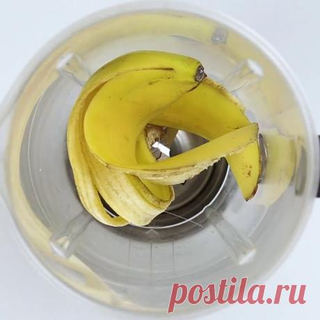 3 ингредиента, которые вернут жизнь любимому растению | 6 соток