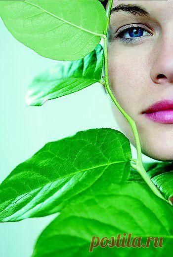 Детокс натуральными средствами | Здоровье | Забота о себе | Psychologies на psychologies.ru