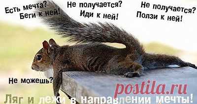 В Академию питания приходят различные люди.                
Среди них  работающие и пенсионеры, женщины и мужчины, мамочки  и только собирающиеся ими  стать, любопытные и желающие похудеть.                                                                        
Самое интересное, что их объединяет одно желание - похудеть. Потихоньку, маленькими  шагами, без стресса для организма они двигаются к намеченной цели.