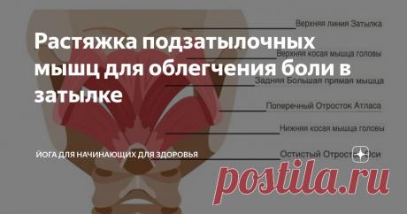 Растяжка подзатылочных мышц для облегчения боли в затылке Статья автора «Йога для начинающих для здоровья» в Дзене ✍: Если вы регулярно испытываете головные боли, локализующиеся в основании черепа, вполне вероятно, что подзатылочные мышцы играют...