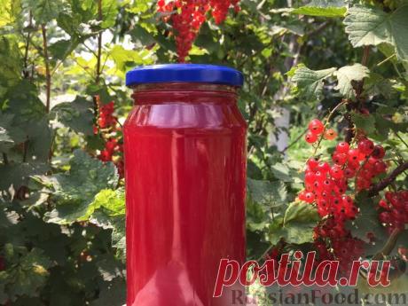 Рецепт: Сироп из красной смородины (заготовка на зиму) на RussianFood.com