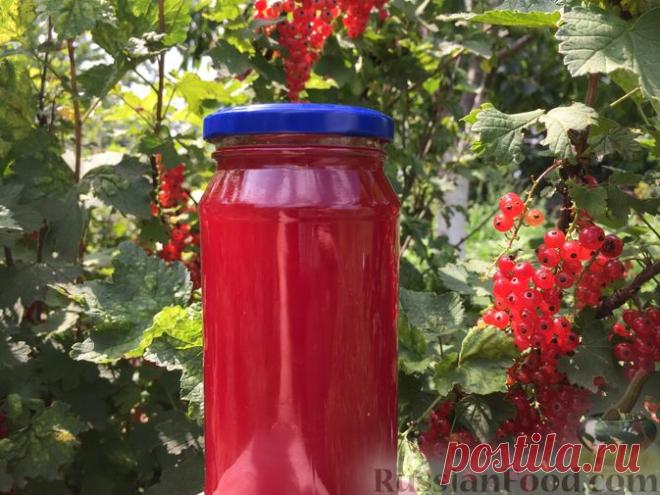 Рецепт: Сироп из красной смородины (заготовка на зиму) на RussianFood.com