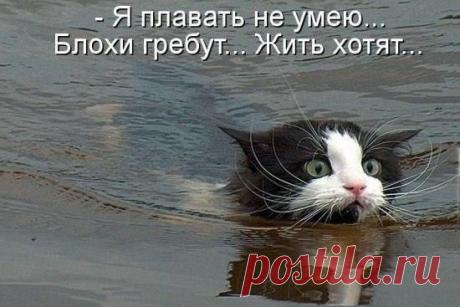 Интересные новости