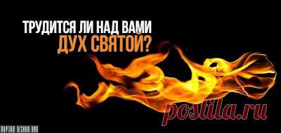 godaltar.orgcompronet: Скажите прав