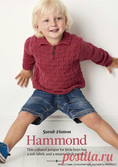 Пуловер «Hammond» для маленьких мальчиков.