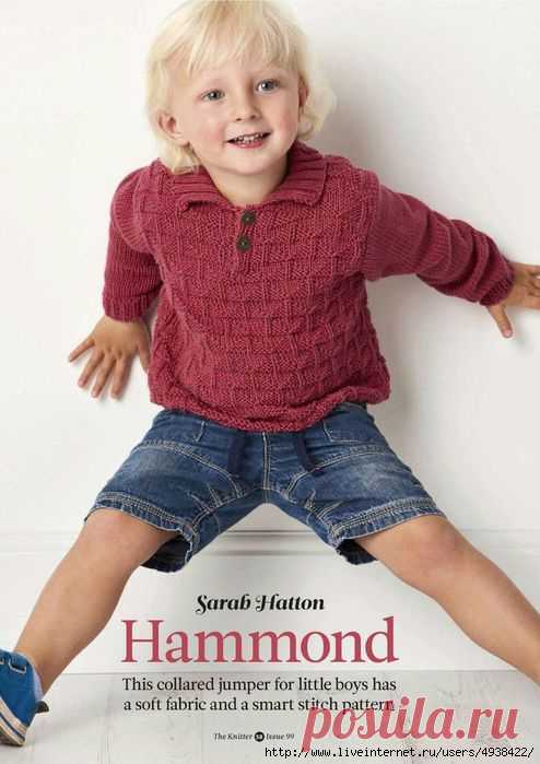 Пуловер «Hammond» для маленьких мальчиков.
