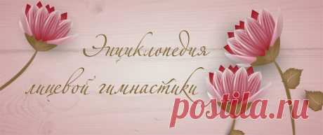Энциклопедия лицевой гимнастики