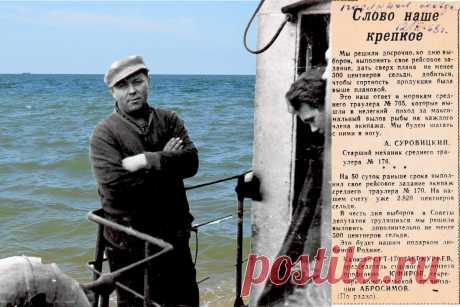 Подарок любимой Родине | Море жизнь | Яндекс Дзен