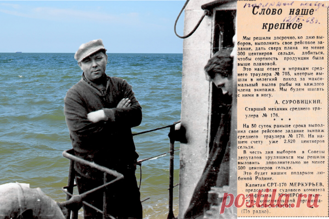 Подарок любимой Родине | Море жизнь | Яндекс Дзен