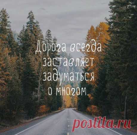 Вокруг света