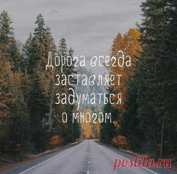 Вокруг света