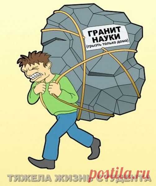 "Корм" для мозга! (То ли быль, а то ли нЕбыль...) | ЖЕНСКИЙ МИР