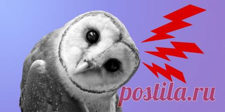 15 слов, значения которых знают только умные люди - Лайфхакер