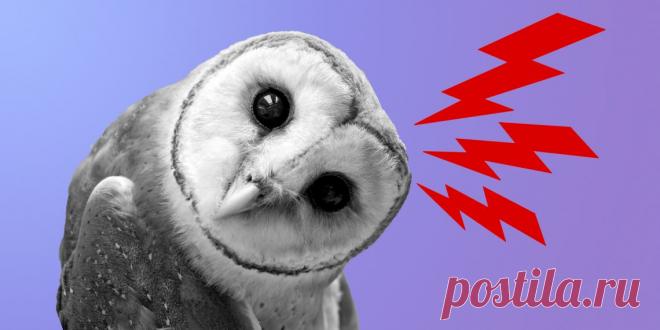 15 слов, значения которых знают только умные люди - Лайфхакер