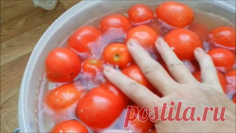 Помидоры в пластиковом ведре – солим сразу много и ооочень вкусно - Женский Блог Этот способ хорош тем, что так вы получите большое количество соленьев в один заход! Не придется тратить много времени и сил: сделать один раз и кушать всю зиму! Ингредиенты: 8 кг. помидоров; 10 шт. венчиков укропа; 10 шт. листочков хрена; 20 шт. горошин перца (черного); 10 шт. горошин перца (душистого); 8-10 шт. листов лаврушки; 1-2 […]