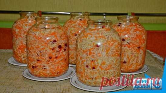 Маринованная капуста за сутки.
Ингредиенты:
 2,5 кг белокочанной капусты
700 г моркови
4 зубчика чеснока
100 мл растительного масла
100 мл 9%-го уксуса
1 л воды
70 г соли
100 г сахара
12 горошин перца
5 соцветий гвоздики
4 лавровых листа.
Приготовление:
 1. Нашинкуй капусту.
2. Морковь натри на крупной терке, чеснок порежь пластинками.
3. Смешай овощи и утрамбуй в кастрюлю.
4. Вскипяти воду. Влей уксус, масло, добавь соль, сахар, лавровый лист, перец горошком, гвоздику.
5. Дай маринаду немн