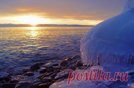 Одноклассники