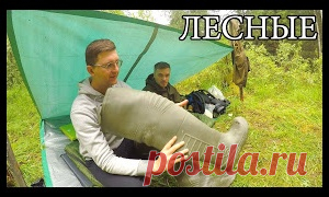 УКРЫТИЕ ИЗ ТЕНТА И НОЧЕВКА В НЕМ - МирТесен