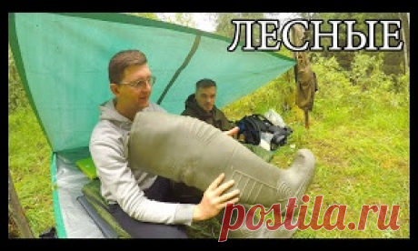 УКРЫТИЕ ИЗ ТЕНТА И НОЧЕВКА В НЕМ - МирТесен