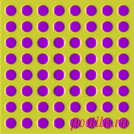 Оптические иллюзии профессора Акиоши