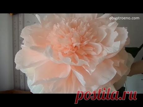 ГИГАНТСКИЕ ростовые цветы. Пион (часть II) / Giant paper flowers | Peony | Part 2