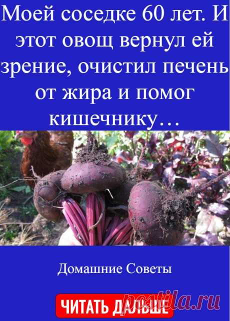 Моей соседке 60 лет. И этот овощ вернул ей зрение, очистил печень от жира и помог кишечнику…