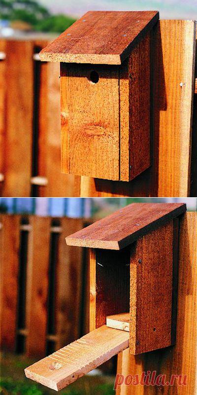 Как сделать скворечник своими руками
