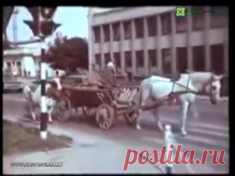 Alytus 1981m  I dalis