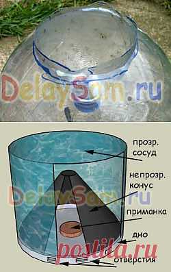 Мухи, слепни, осы. Самодельные мухоловки. Как бороться с мухами, слепнями и осами. Как избавиться